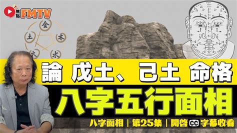 中央戊己土|八字五行性质分析之戊己土 八字中戊己土详解